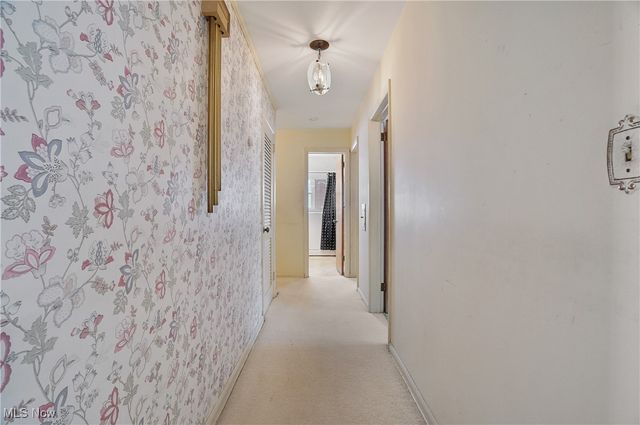 1123 Courtleigh Drive, Akron, OH 44313