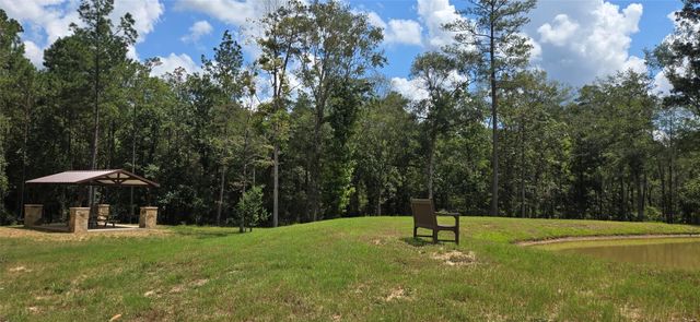 147 Eagle Run Road, Willis, TX 77378