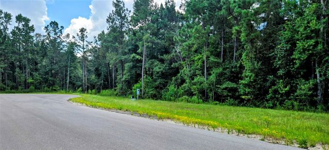 147 Eagle Run Road, Willis, TX 77378