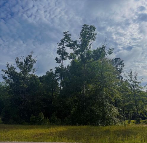 147 Eagle Run Road, Willis, TX 77378