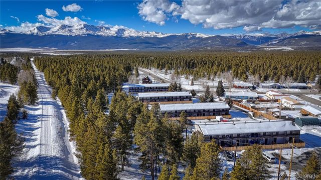 921 Mt Massive Drive 19, Leadville, CO 80461