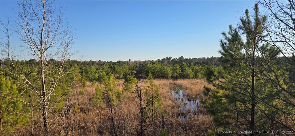 03 Josey Williams Road, Erwin, NC 28339