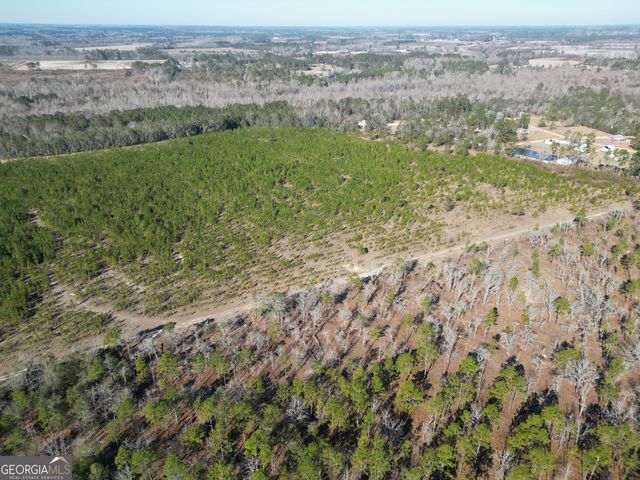 0 Indigo Road, Metter, GA 30439