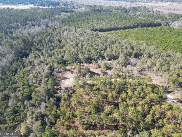 0 Indigo Road, Metter, GA 30439