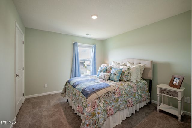 1029 Tara Court, Blountville, TN 37617