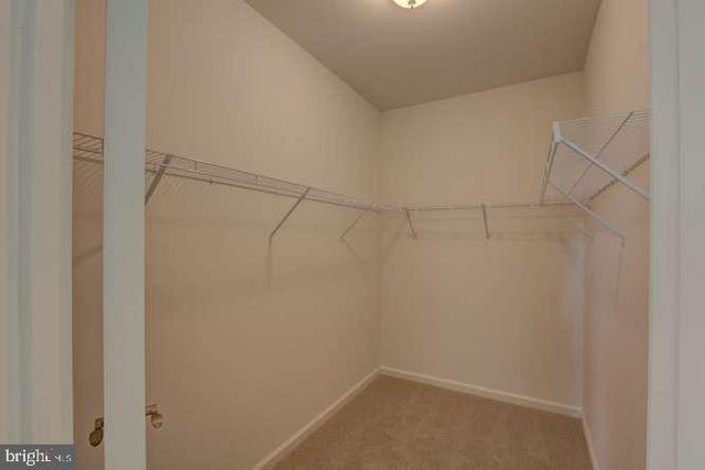 319 TWIN MEADOWS FARM LN, Centreville, MD 21617