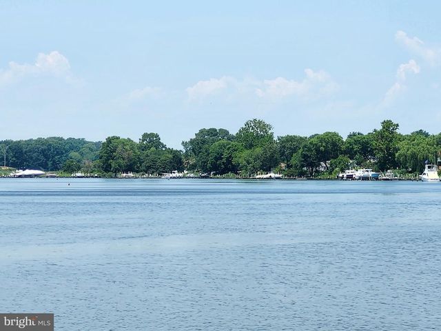 319 TWIN MEADOWS FARM LN, Centreville, MD 21617