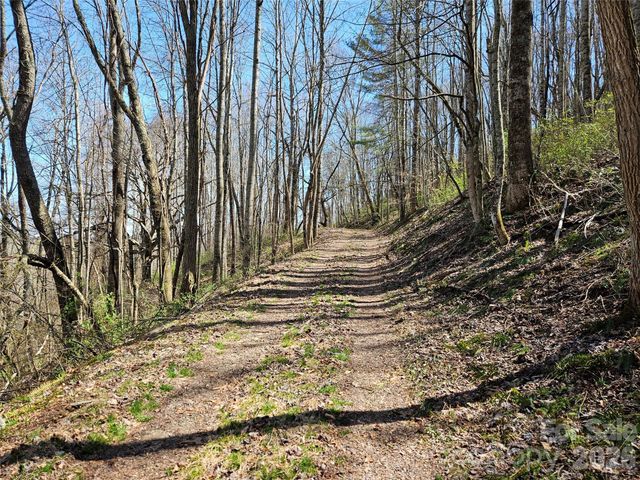 1200 Rocky Knob Road, Waynesville, NC 28786
