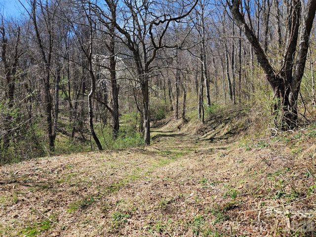 1200 Rocky Knob Road, Waynesville, NC 28786