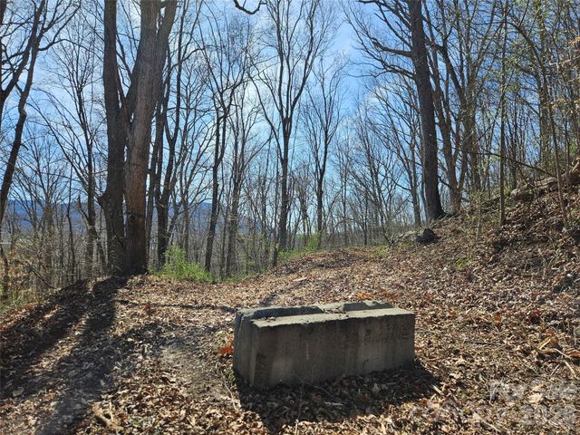 1200 Rocky Knob Road, Waynesville, NC 28786