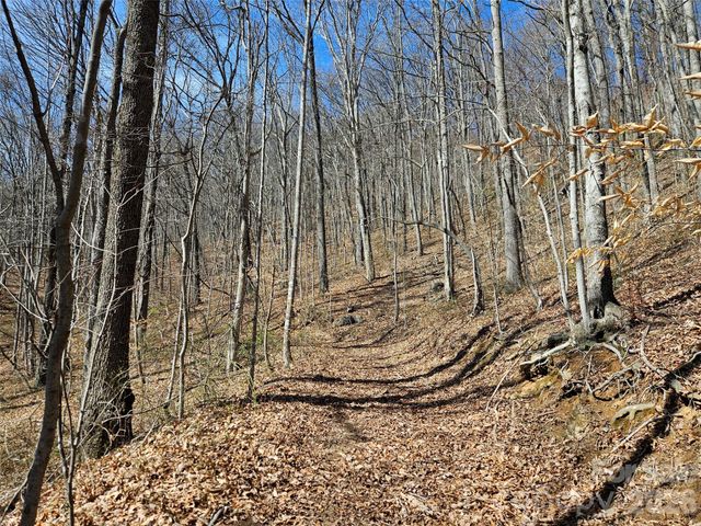 1200 Rocky Knob Road, Waynesville, NC 28786