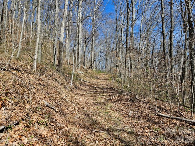 1200 Rocky Knob Road, Waynesville, NC 28786