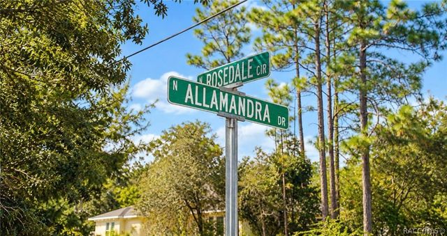 5463 N Allamandra Drive, Beverly Hills, FL 34465