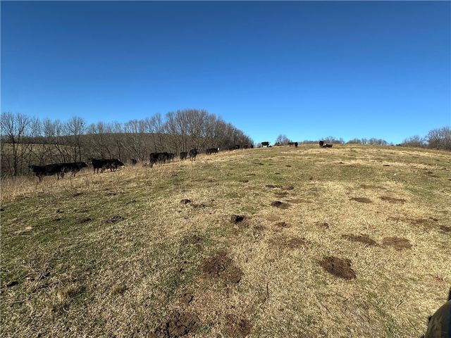 TBD Hwy 23, Huntsville, AR 72740