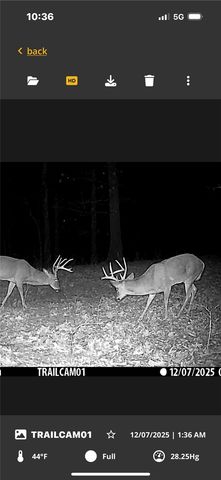 TBD Hwy 23, Huntsville, AR 72740