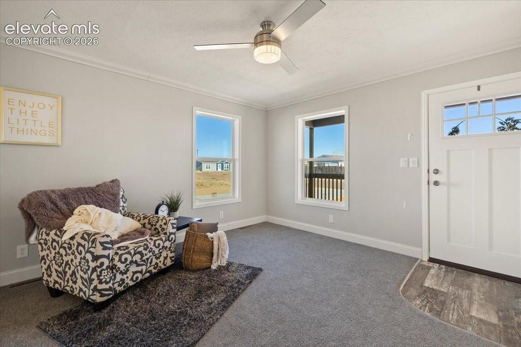 11040 N Calhan Highway, Calhan, CO 80908 — photo 5