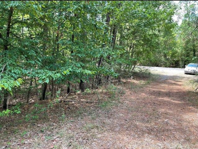 TBD Hickory Circle, Point Blank, TX 77364