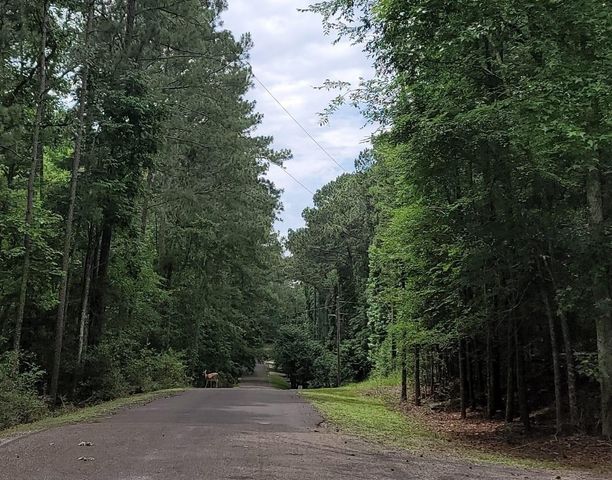 TBD Hickory Circle, Point Blank, TX 77364