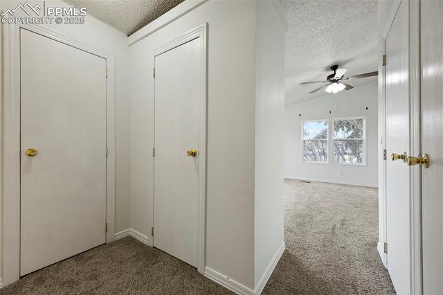 4006 Gray Fox Heights, Colorado Springs, CO 80922