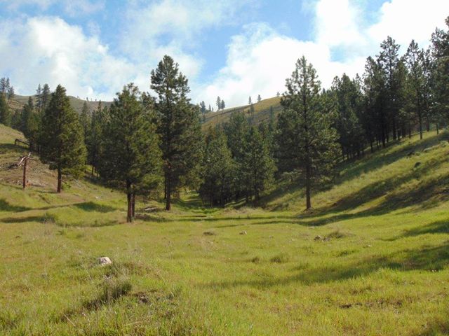 27235 Lazy Springs Road, Clinton, MT 59825