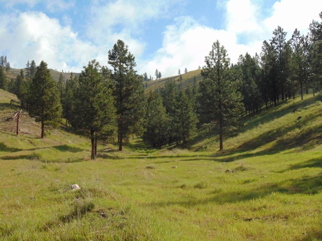 27235 Lazy Springs Road, Clinton, MT 59825