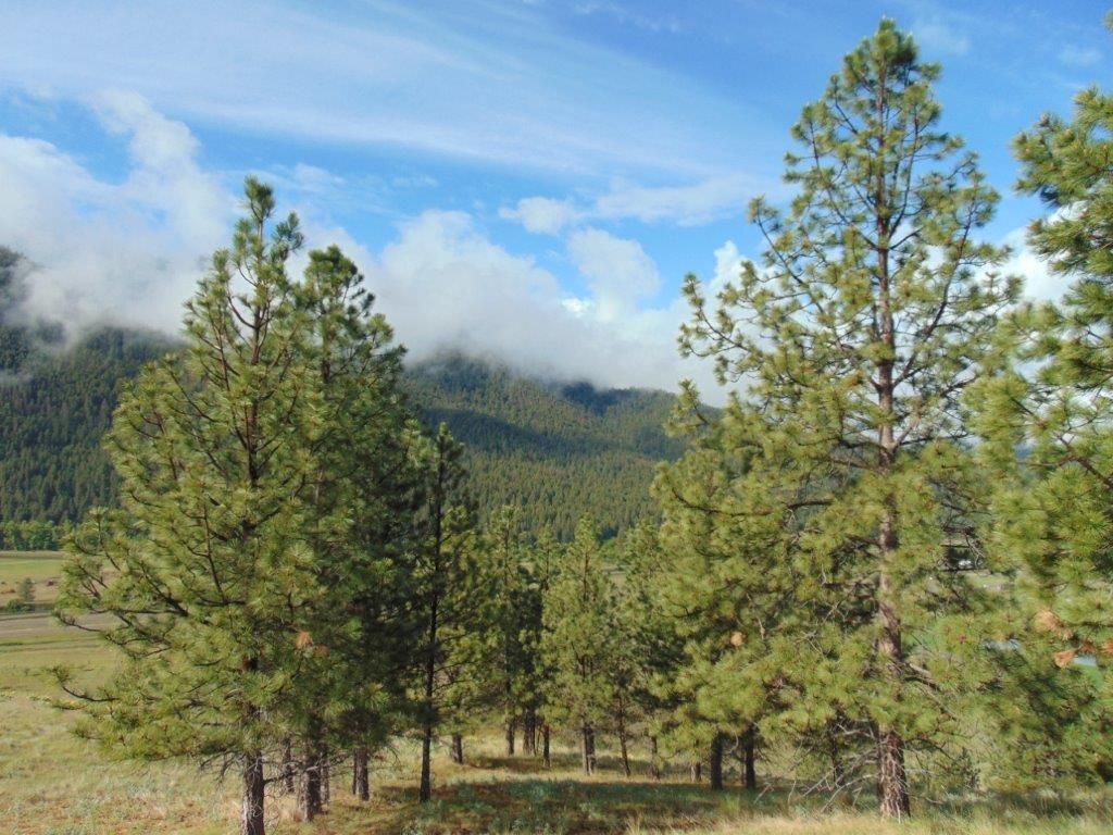 27235 Lazy Springs Road, Clinton, MT 59825 photo 13