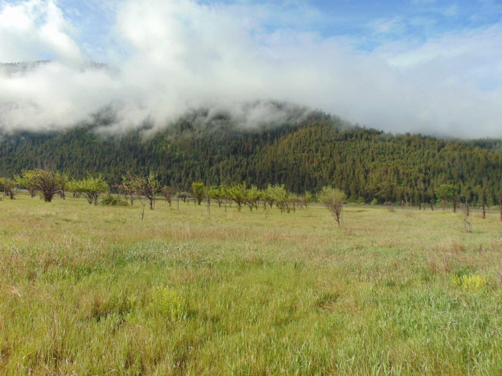 27235 Lazy Springs Road, Clinton, MT 59825 photo 14