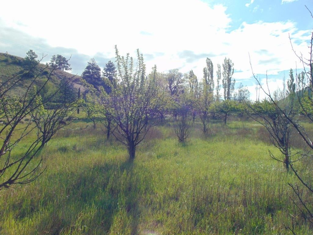 27235 Lazy Springs Road, Clinton, MT 59825 photo 19