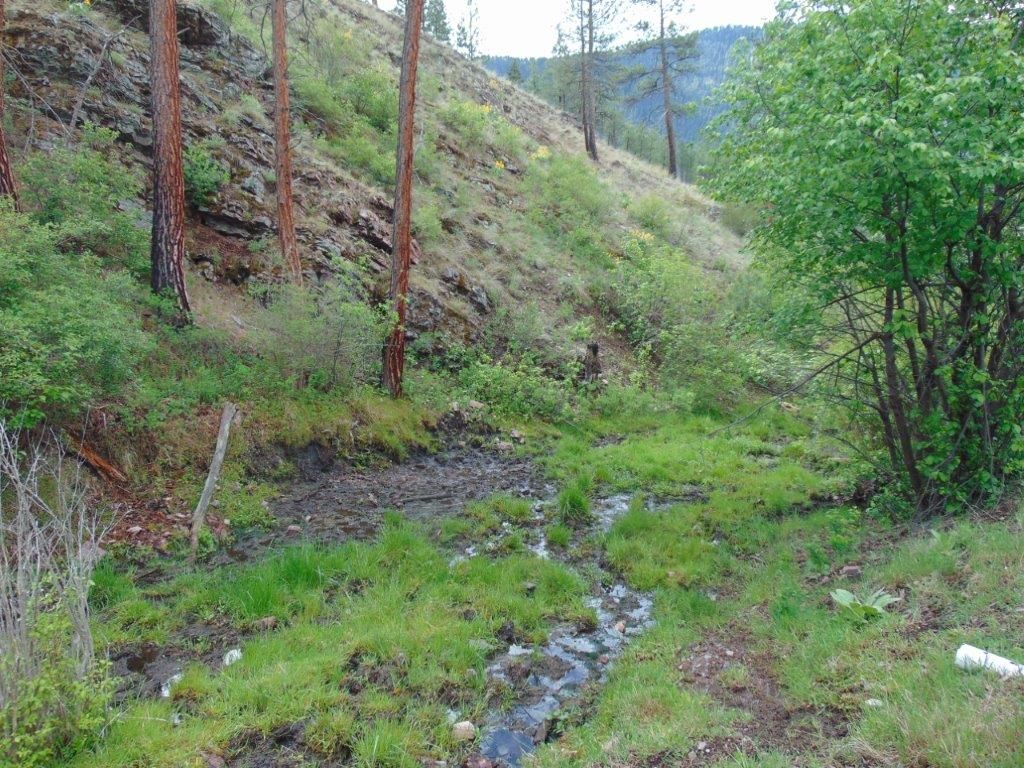 27235 Lazy Springs Road, Clinton, MT 59825 photo 2