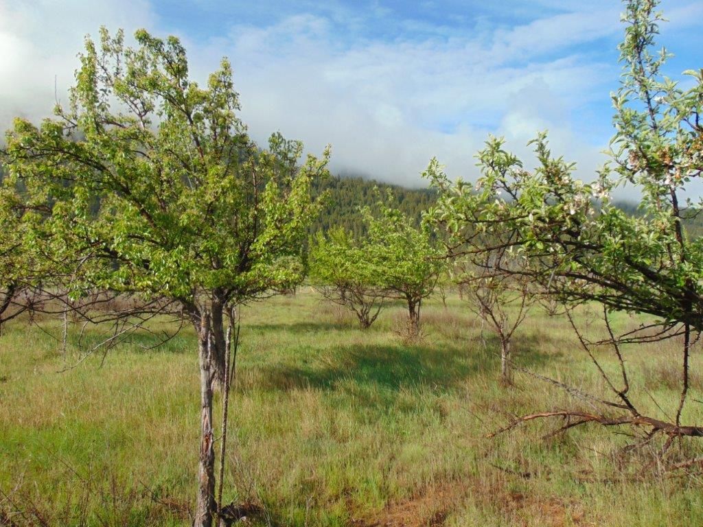 27235 Lazy Springs Road, Clinton, MT 59825 photo 20