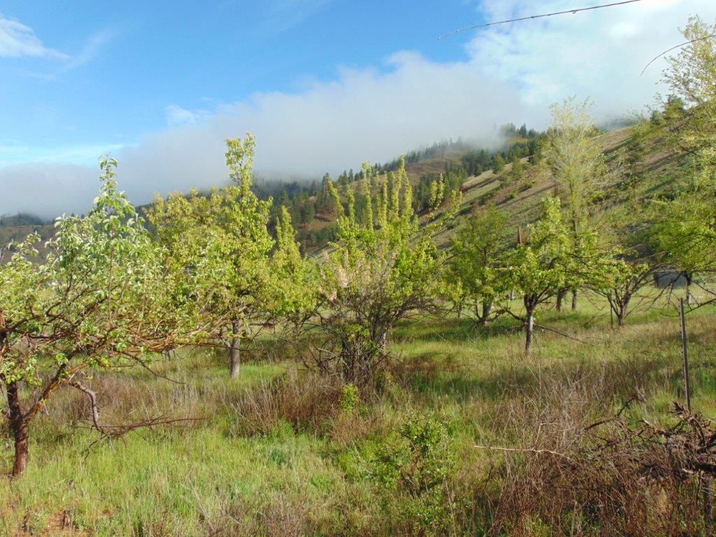 27235 Lazy Springs Road, Clinton, MT 59825 photo 22