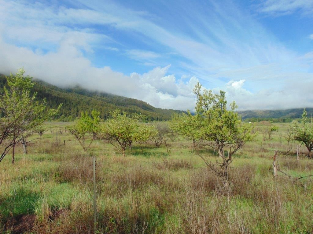 27235 Lazy Springs Road, Clinton, MT 59825 photo 23