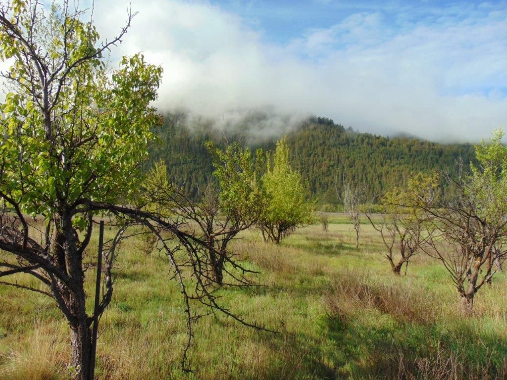 27235 Lazy Springs Road, Clinton, MT 59825 photo 25