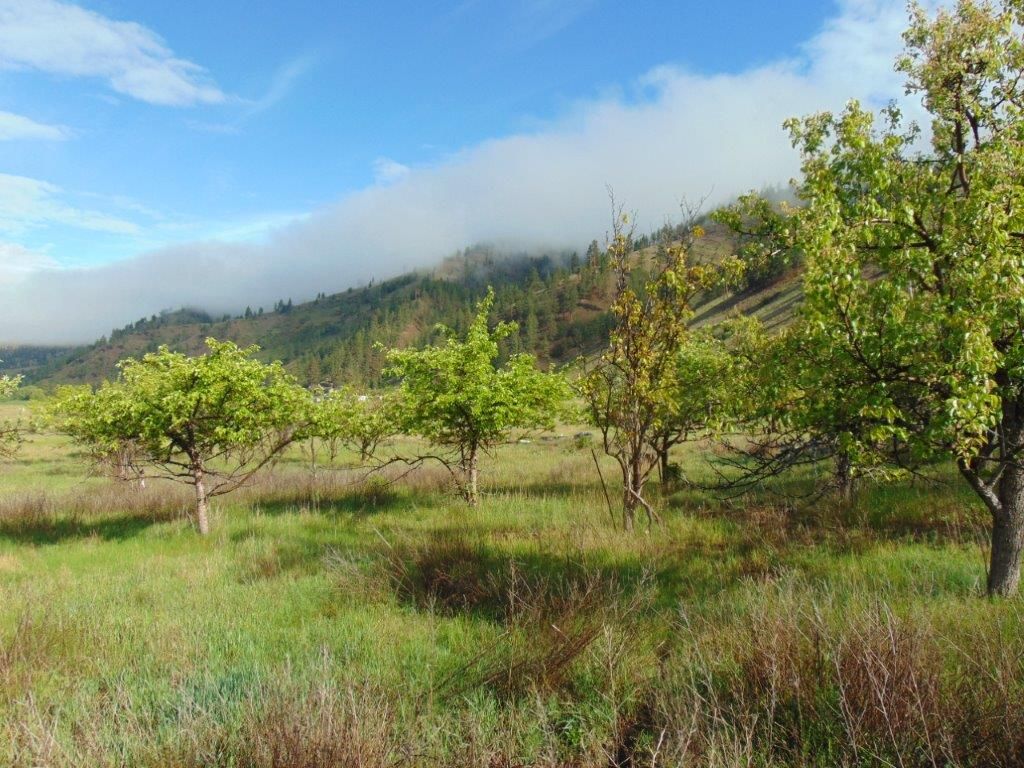 27235 Lazy Springs Road, Clinton, MT 59825 photo 26