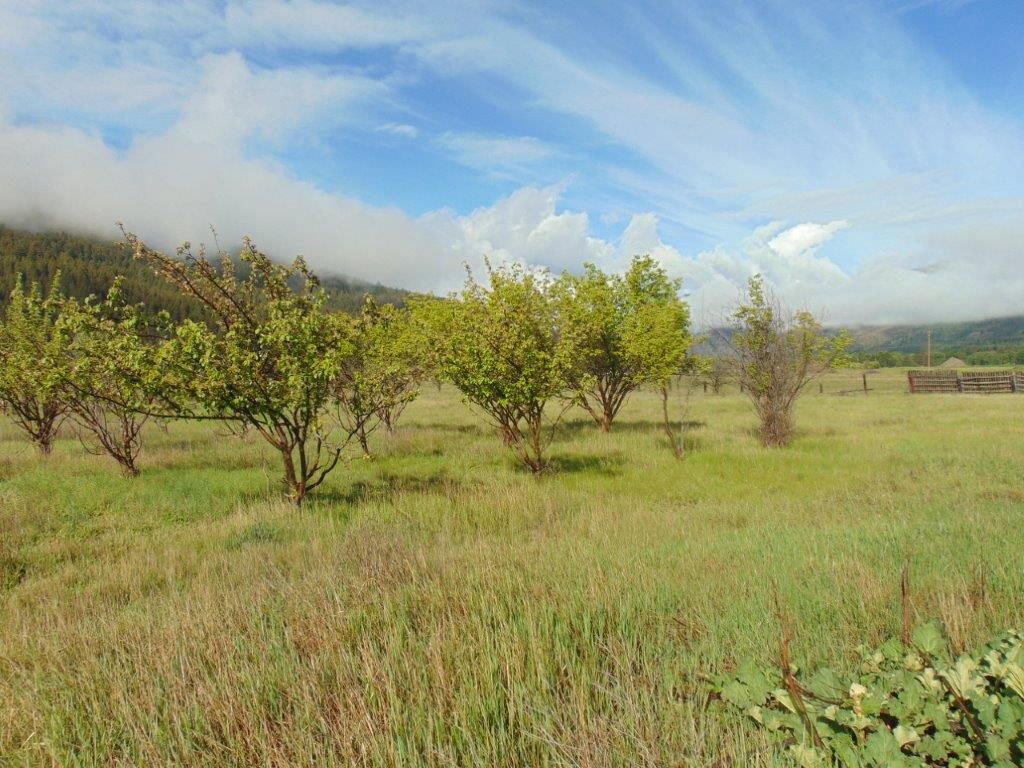 27235 Lazy Springs Road, Clinton, MT 59825 photo 28