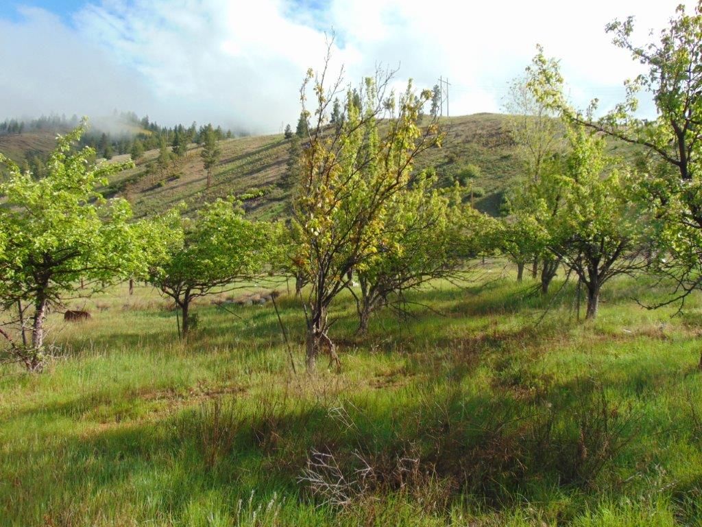 27235 Lazy Springs Road, Clinton, MT 59825 photo 3