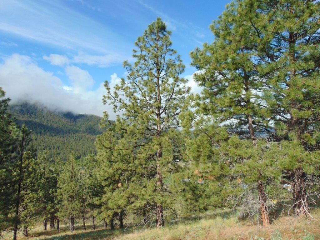 27235 Lazy Springs Road, Clinton, MT 59825 photo 35