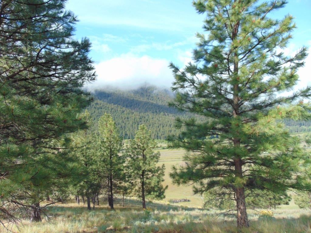 27235 Lazy Springs Road, Clinton, MT 59825 photo 38