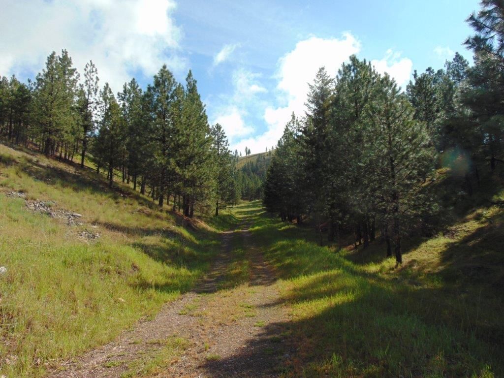 27235 Lazy Springs Road, Clinton, MT 59825 photo 46