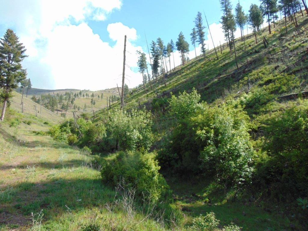 27235 Lazy Springs Road, Clinton, MT 59825 photo 61