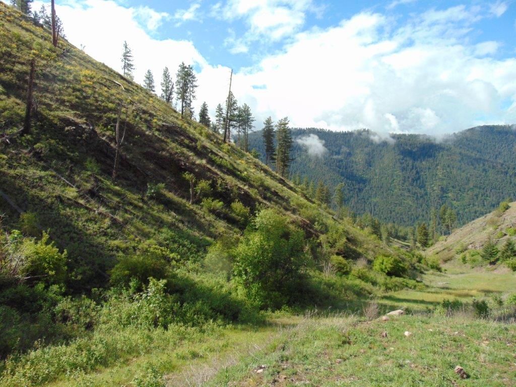 27235 Lazy Springs Road, Clinton, MT 59825 photo 63