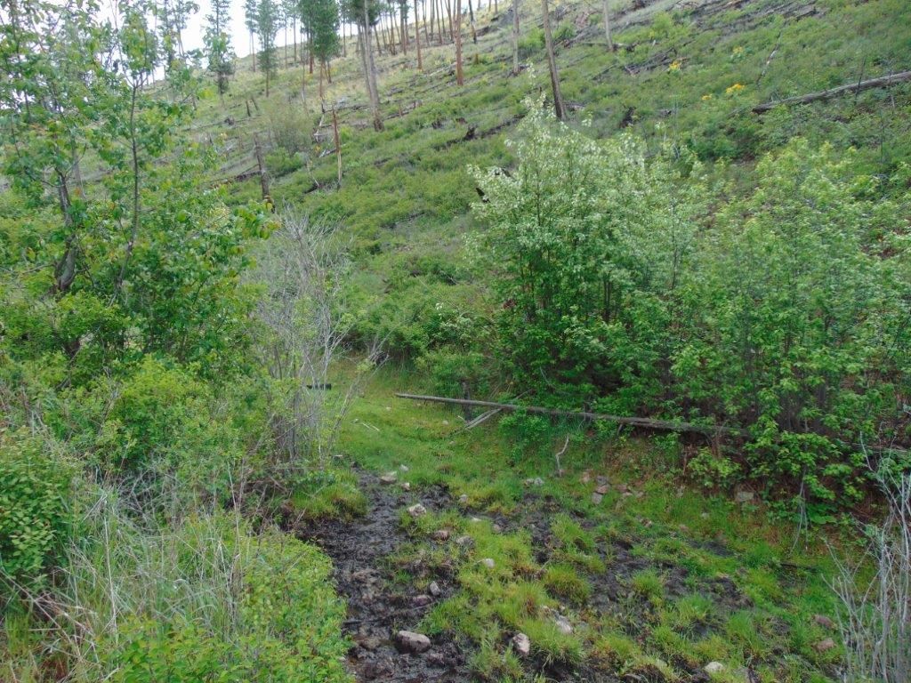 27235 Lazy Springs Road, Clinton, MT 59825 photo 7