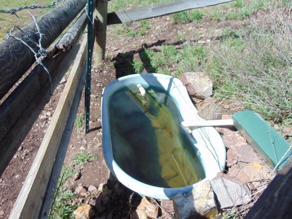 27235 Lazy Springs Road, Clinton, MT 59825 photo 72