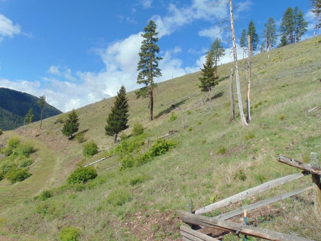 27235 Lazy Springs Road, Clinton, MT 59825 photo 73