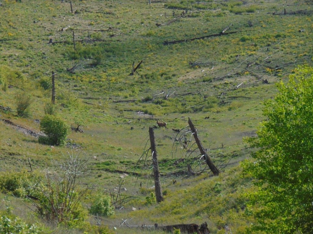 27235 Lazy Springs Road, Clinton, MT 59825 photo 76