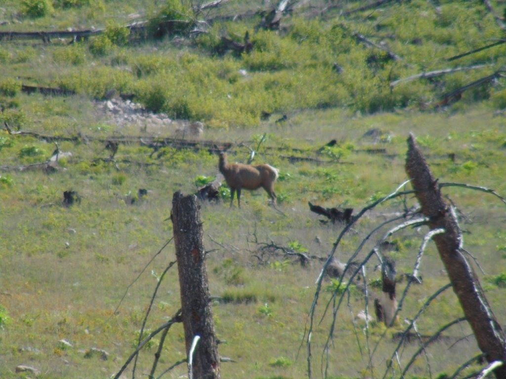 27235 Lazy Springs Road, Clinton, MT 59825 photo 77