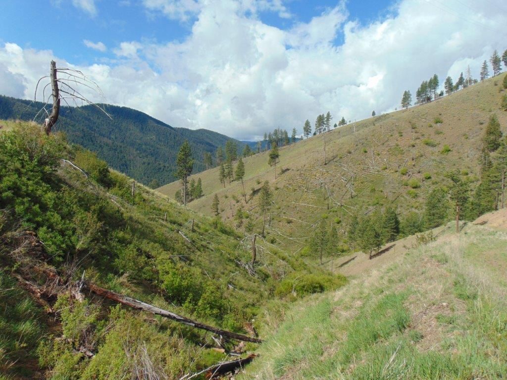 27235 Lazy Springs Road, Clinton, MT 59825 photo 78