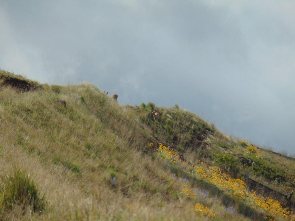 27235 Lazy Springs Road, Clinton, MT 59825 photo 80