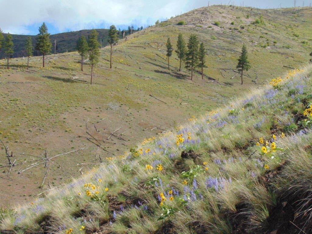 27235 Lazy Springs Road, Clinton, MT 59825 photo 82