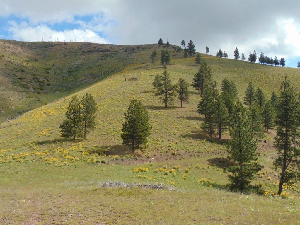 27235 Lazy Springs Road, Clinton, MT 59825 photo 86